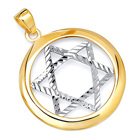 Encircled Diamond-Cut Star of David Pendant in 14K Two-Tone Gold