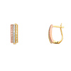 14k TriGold 6mm Fancy CZ Hoop Earrings (15 x 10 mm)