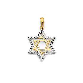 Diamond-Cut Yellow Gold Center Star of David Pendant in 14K Two-Tone Gold Solid