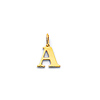Mini Classic Uppercase Serif Initial Pendant in 14K Yellow Gold
