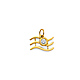 Astrology Sign CZ Zodiac Pendant in 14K Yellow Gold - Aquarius & More thumb 1